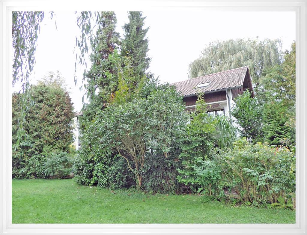 Immobilienbild